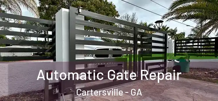 Automatic Gate Repair Cartersville - GA