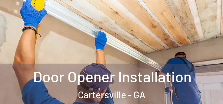 Door Opener Installation Cartersville - GA