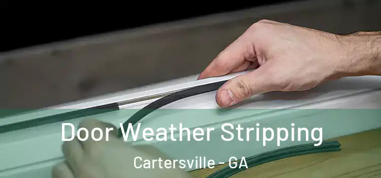 Door Weather Stripping Cartersville - GA