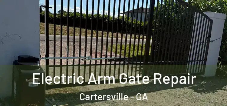 Electric Arm Gate Repair Cartersville - GA