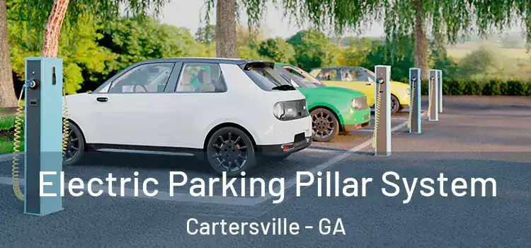 Electric Parking Pillar System Cartersville - GA