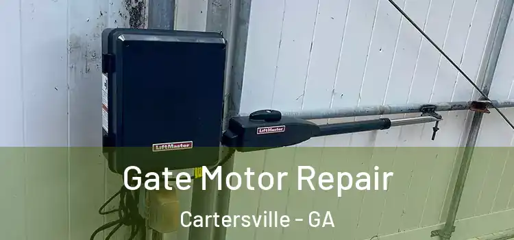 Gate Motor Repair Cartersville - GA