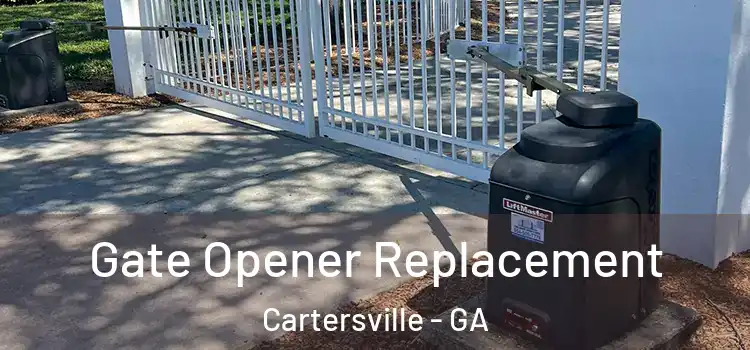 Gate Opener Replacement Cartersville - GA