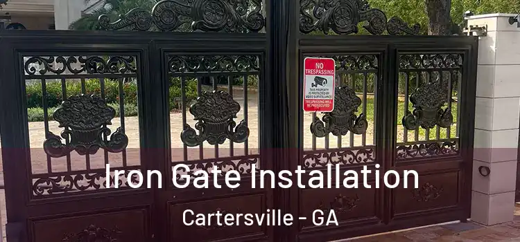 Iron Gate Installation Cartersville - GA