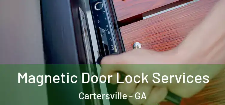 Magnetic Door Lock Services Cartersville - GA