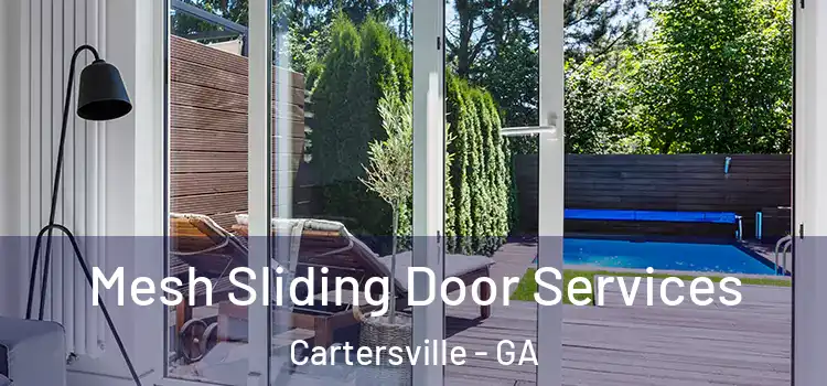 Mesh Sliding Door Services Cartersville - GA