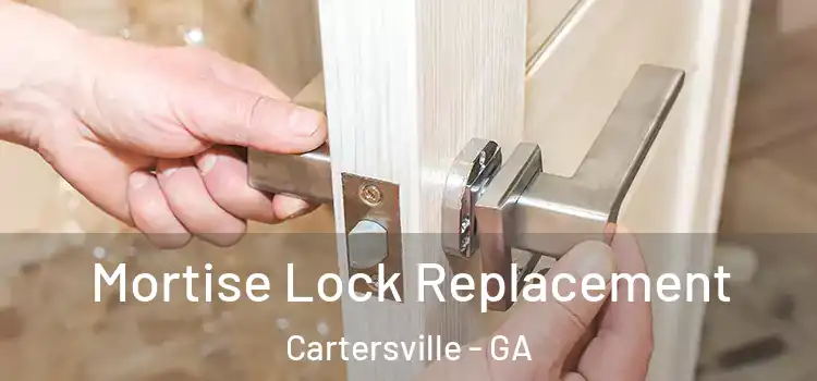 Mortise Lock Replacement Cartersville - GA