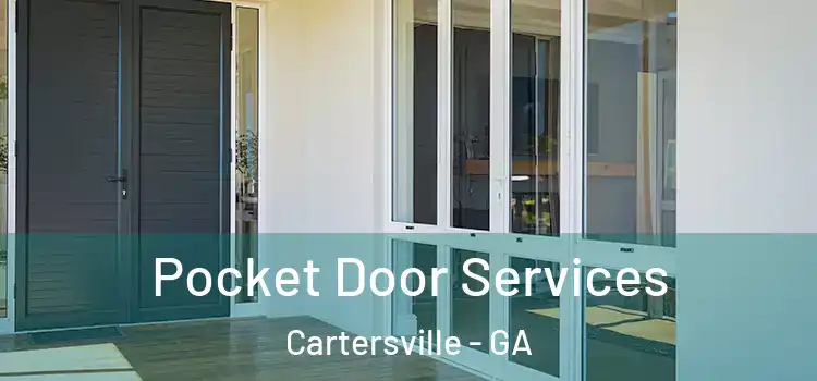 Pocket Door Services Cartersville - GA